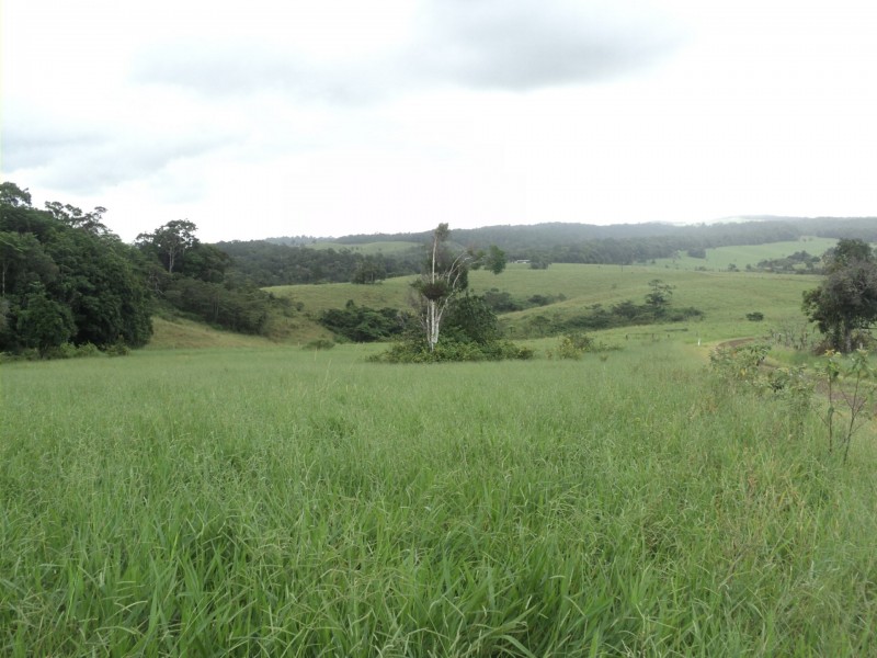 Malanda QLD 4885