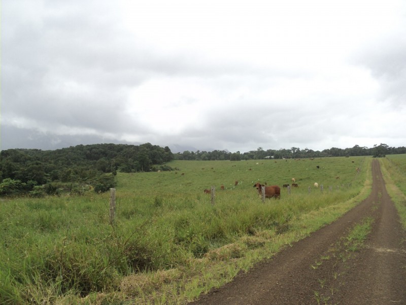 Malanda QLD 4885
