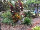Malanda QLD 4885