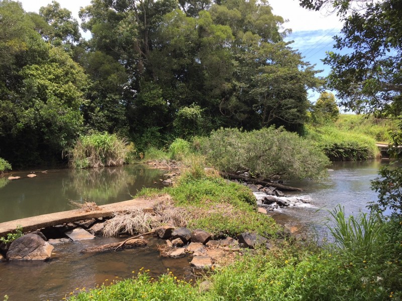 Malanda QLD 4885