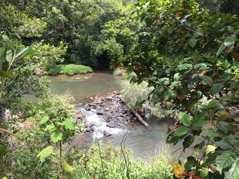 Malanda QLD 4885