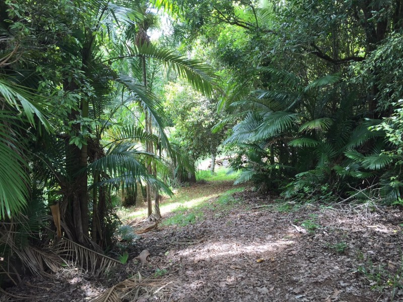 Malanda QLD 4885