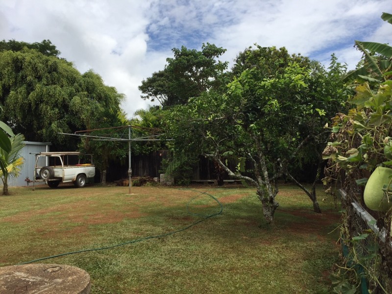 Millaa Millaa QLD 4886