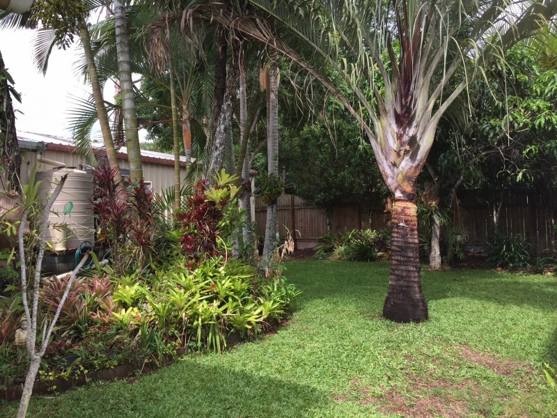 Atherton QLD 4883