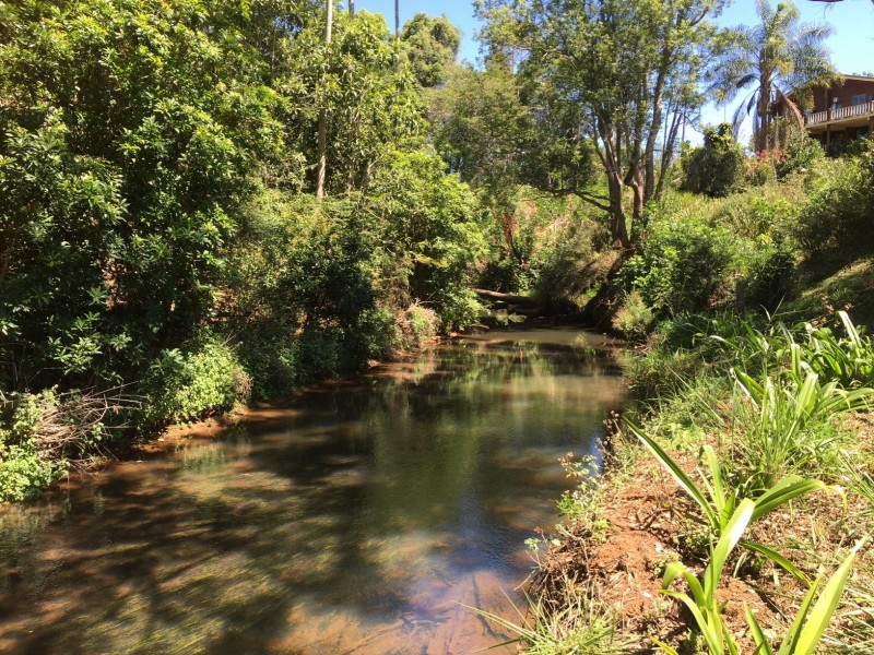 Malanda QLD 4885