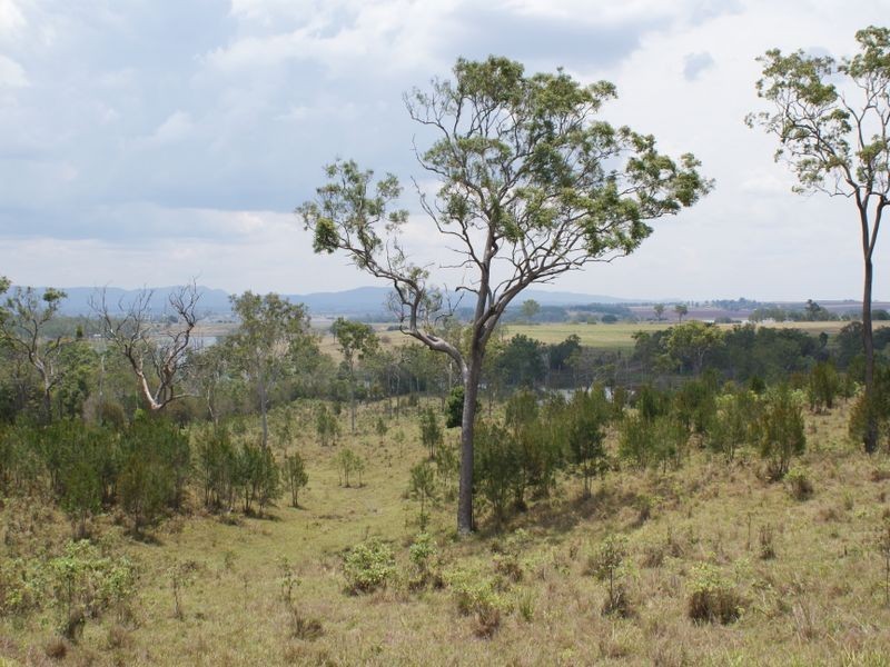 Yungaburra QLD 4884