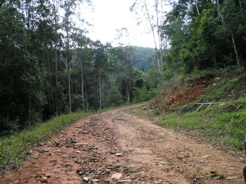 860 Tallebudgera Creek Road, Tallebudgera Valley QLD 4228