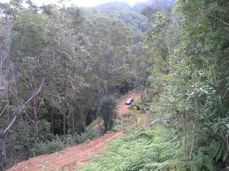 860 Tallebudgera Creek Road, Tallebudgera Valley QLD 4228