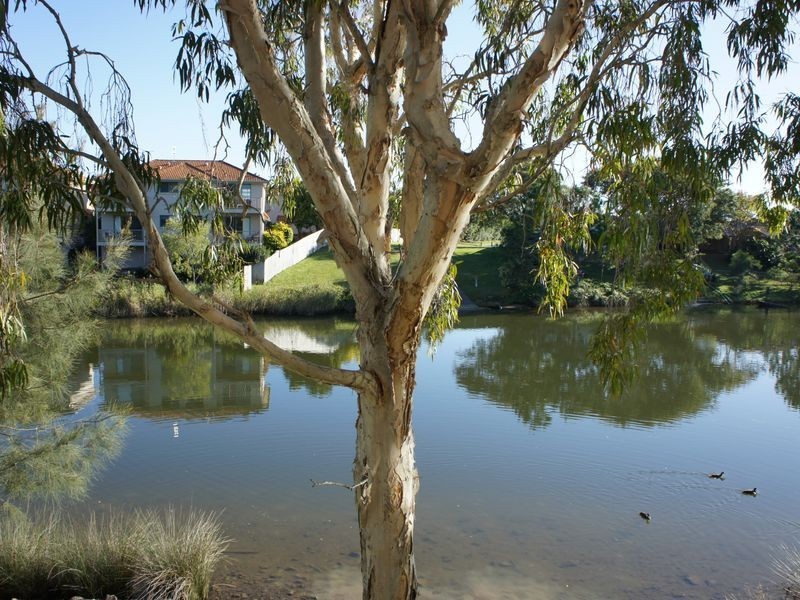 16/84 Cumberland Drive, Varsity Lakes QLD 4227