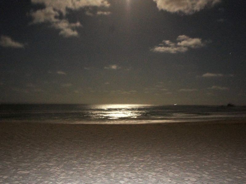 4e/973 Gold Coast Highway, Palm Beach QLD 4221