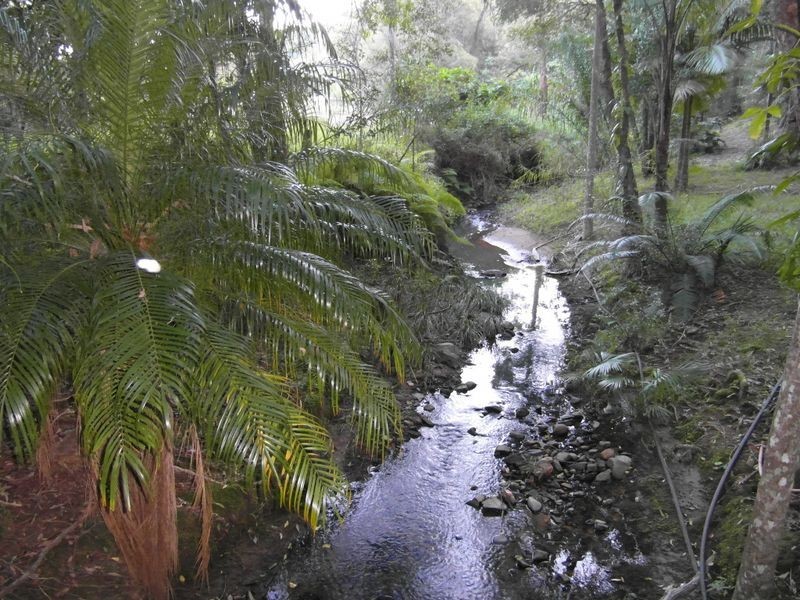 314 Trees Rd, Tallebudgera QLD 4228