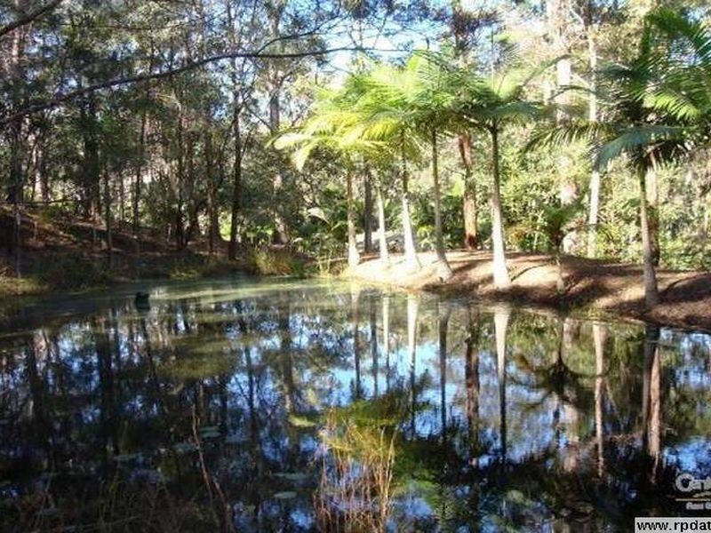 314 Trees Rd, Tallebudgera QLD 4228