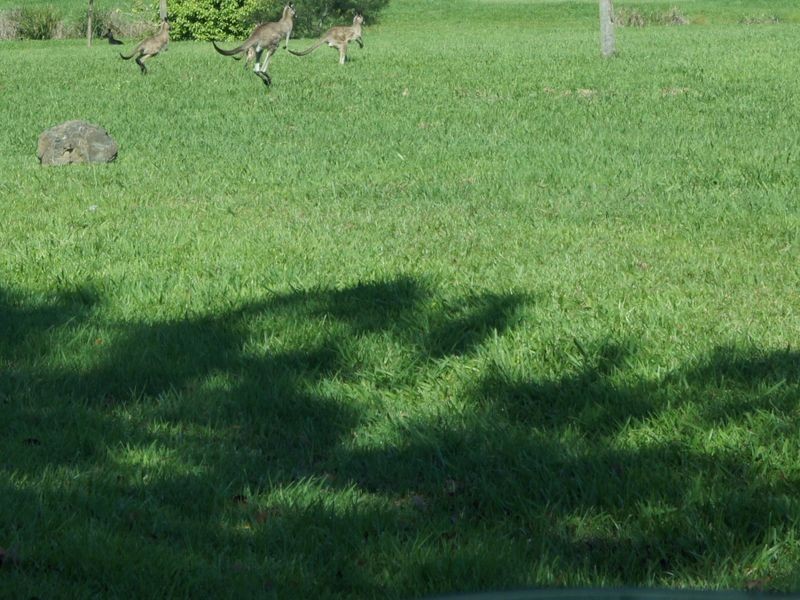 Lot 9 / 12 Landers Lane, Currumbin Waters QLD 4223