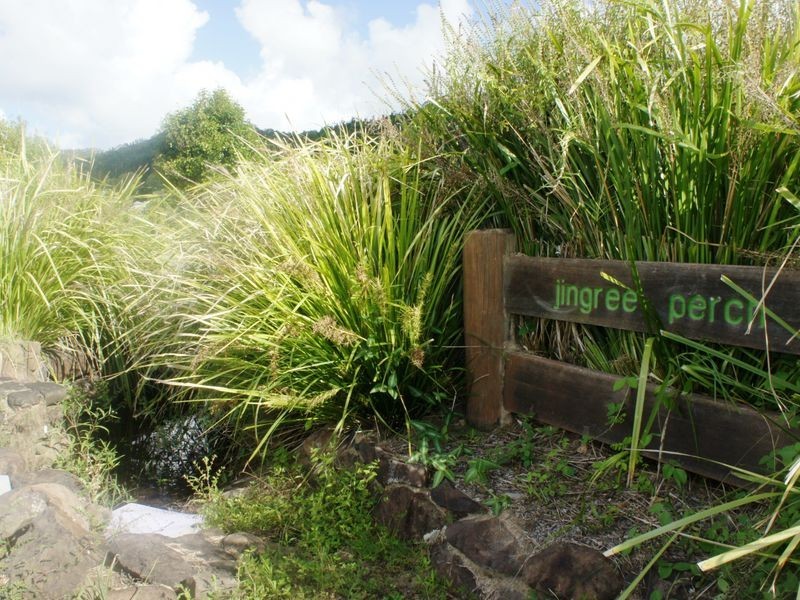 4 Jingree Perch, Currumbin Valley QLD 4223