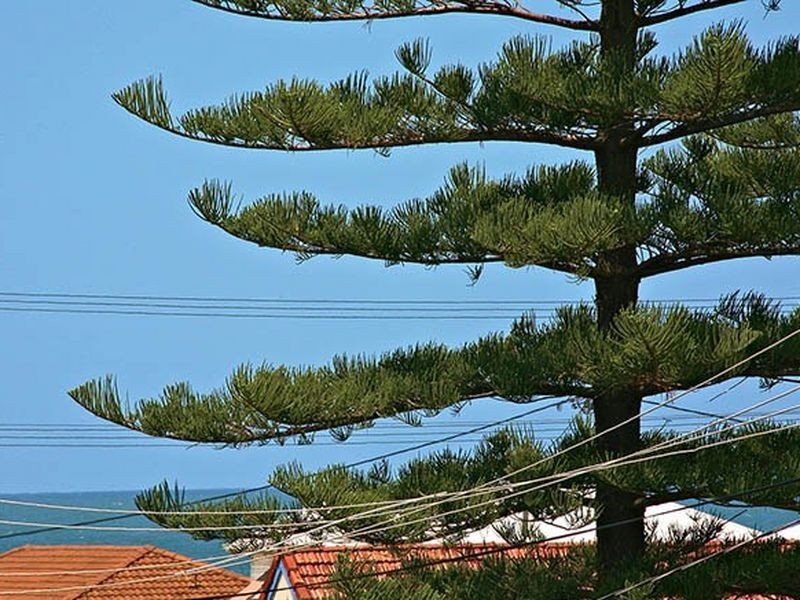 5/11 Tenth Ave, Palm Beach QLD 4221