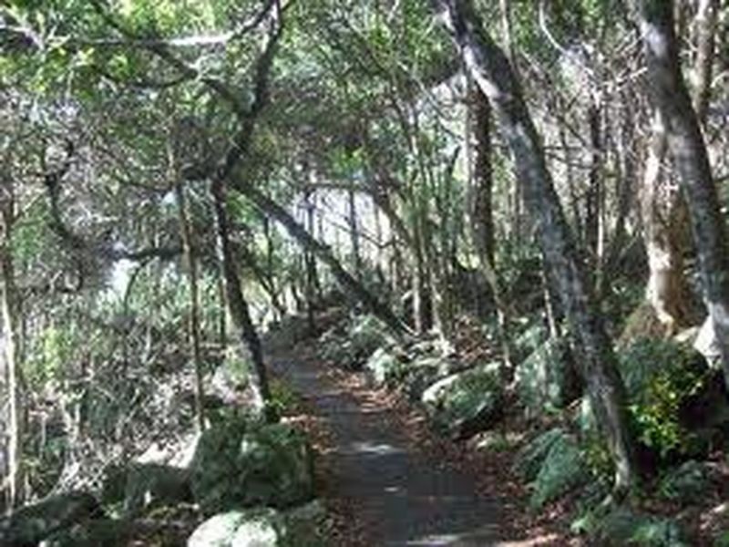 28 George St, Burleigh Heads QLD 4220