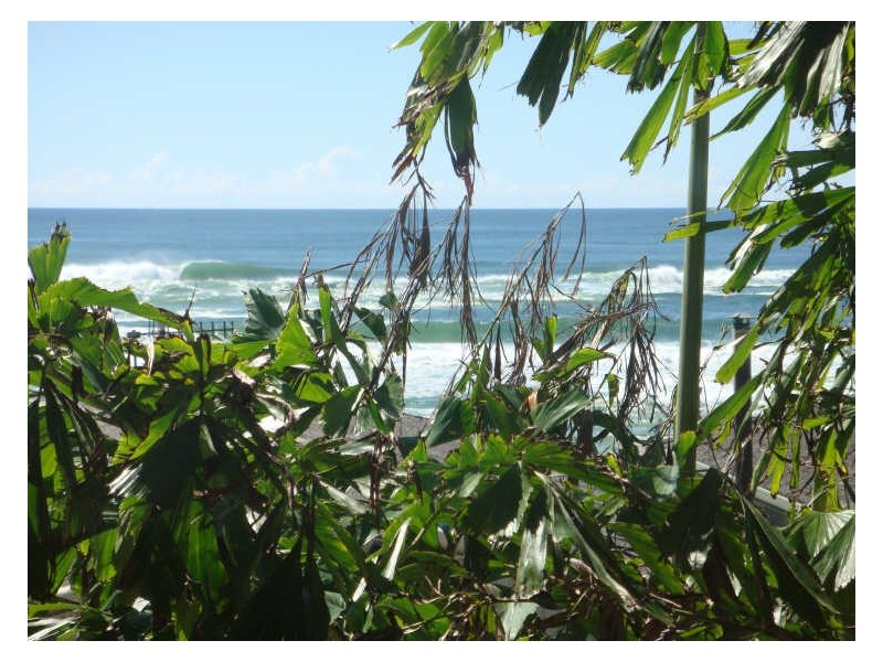 7/1251 Gold Coast Highway, Palm Beach QLD 4221