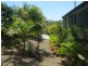 4 Ponderosa Court, Elanora QLD 4221