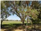 56 Melaleuca Drive, Palm Beach QLD 4221