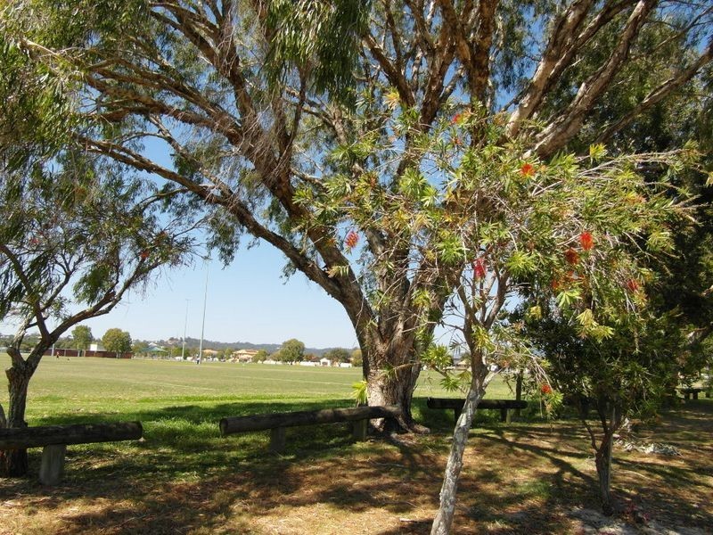 56 Melaleuca Drive, Palm Beach QLD 4221