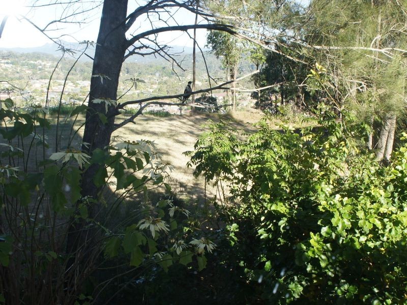 1/32 Alinjarra Drive, Tugun QLD 4224