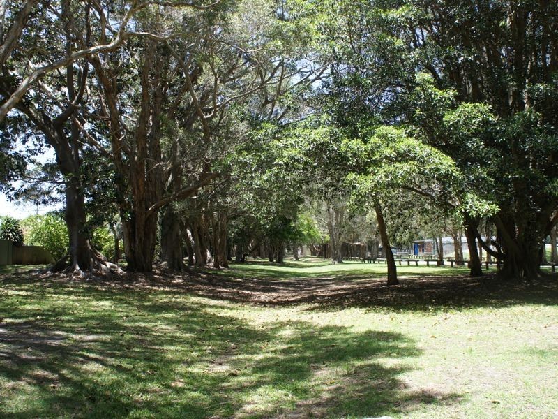 95 Mallawa Drive, Palm Beach QLD 4221