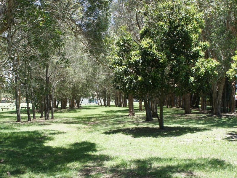 95 Mallawa Drive, Palm Beach QLD 4221