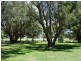95 Mallawa Drive, Palm Beach QLD 4221