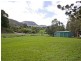 953 Tallebudgera Creek Road, Tallebudgera Valley QLD 4228