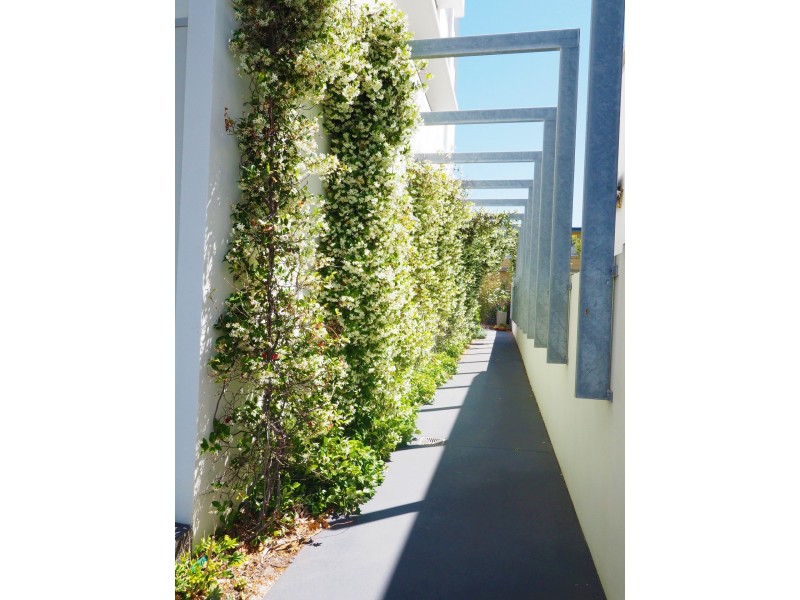 Unit 3/20 Jefferson Lane, Palm Beach QLD 4221