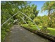 10 Bains Road, Currumbin Valley QLD 4223