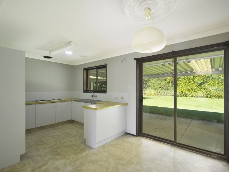 7 Colvillea Court, Palm Beach QLD 4221