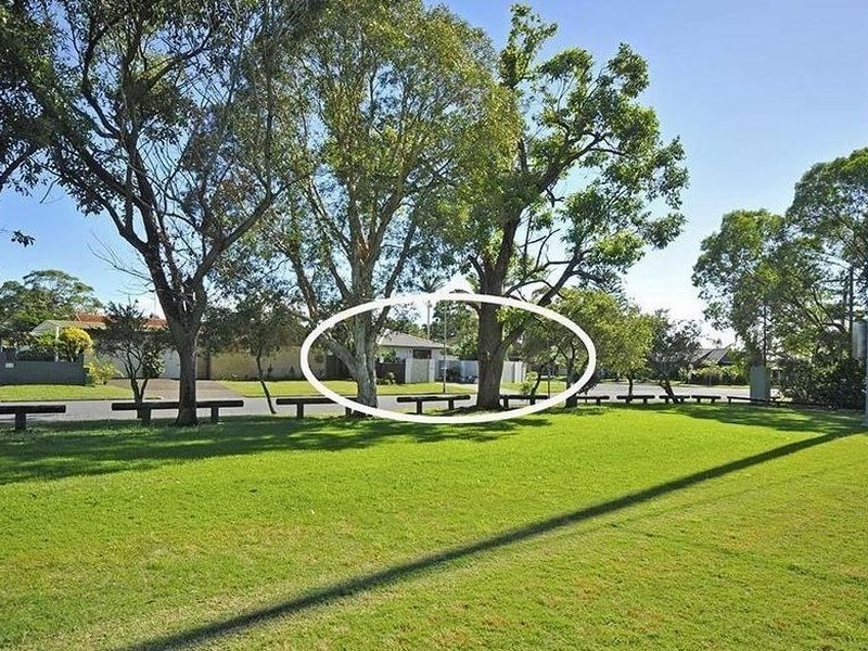 54 Melaleuca Drive, Palm Beach QLD 4221