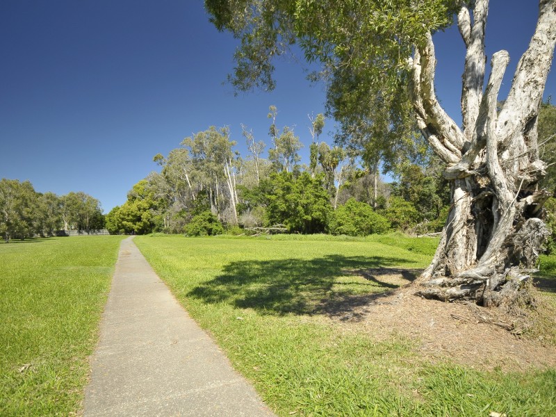 21 Tipuana Drive, Elanora QLD 4221