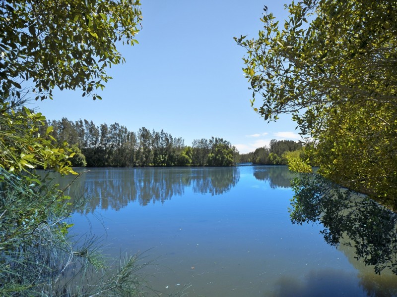 21 Tipuana Drive, Elanora QLD 4221