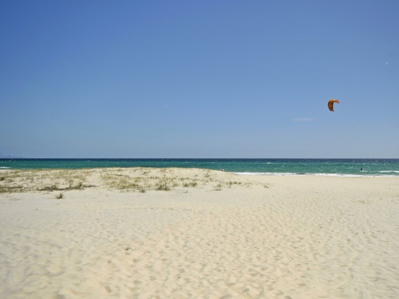 3/16 Coyne Street, Coolangatta QLD 4225