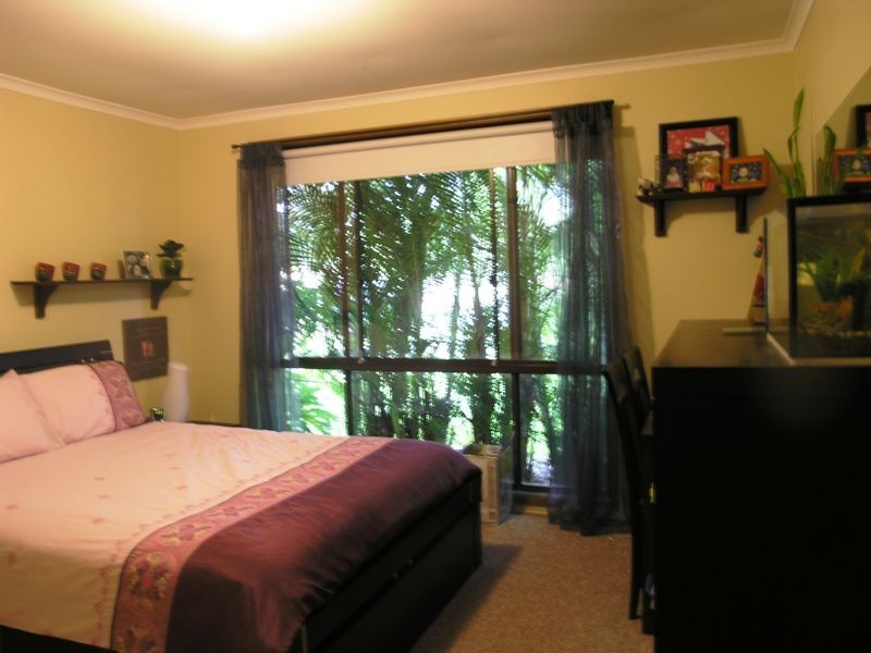 5 Dolan Court, Currumbin Waters QLD 4223