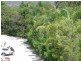 Tugun QLD 4224