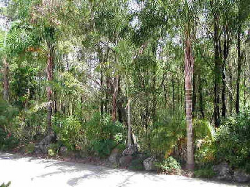 Tugun QLD 4224