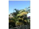 56 Clives Crt, Currumbin Waters QLD 4223