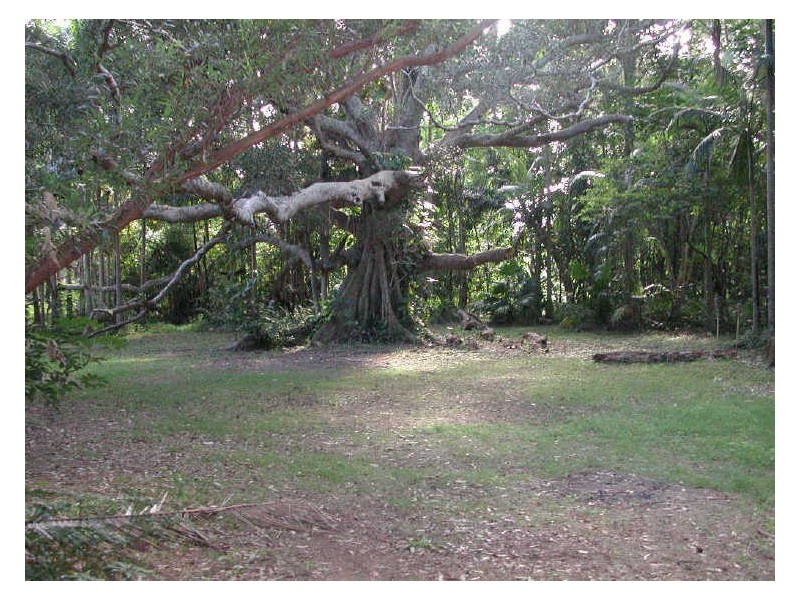 565 Tallebudgera Creek Road, Tallebudgera Valley QLD 4228