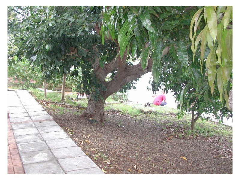 10 Spinnaker Court, Currumbin Waters QLD 4223