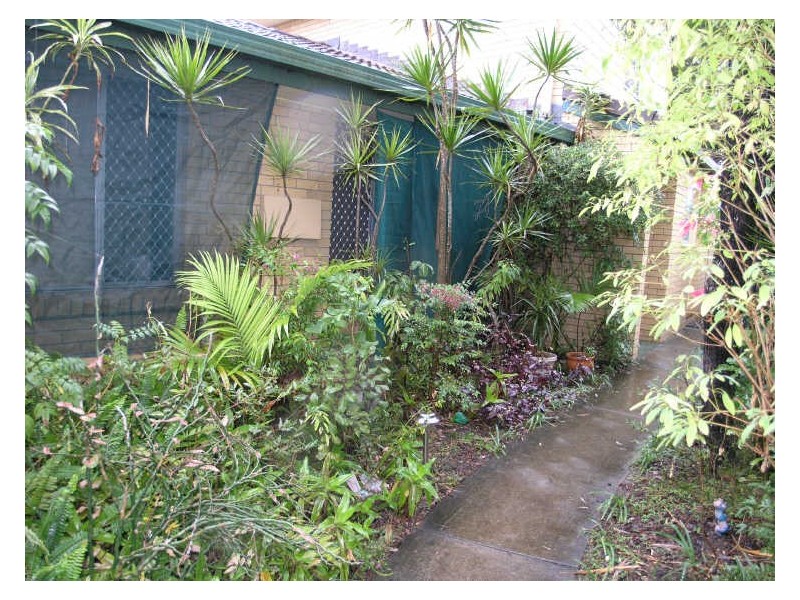 2/62 Tallebudgera Drive, Palm Beach QLD 4221