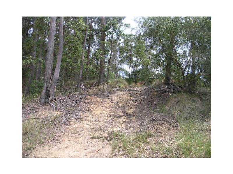 Currumbin Waters QLD 4223