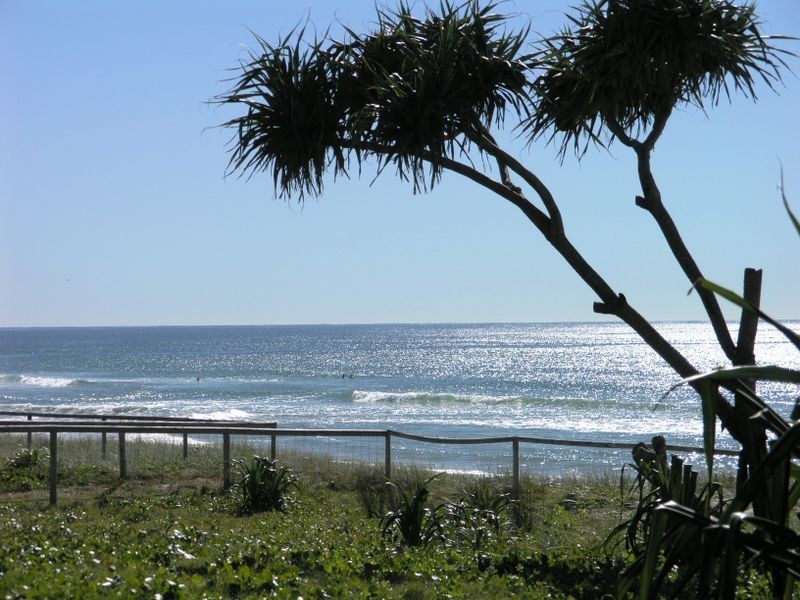 11/1370 Gold Coast Highway, Palm Beach QLD 4221