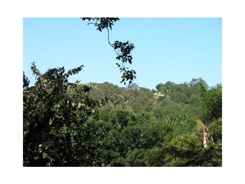 9 Walsh Street, Currumbin QLD 4223