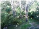 12 Larentia Street, Currumbin Waters QLD 4223