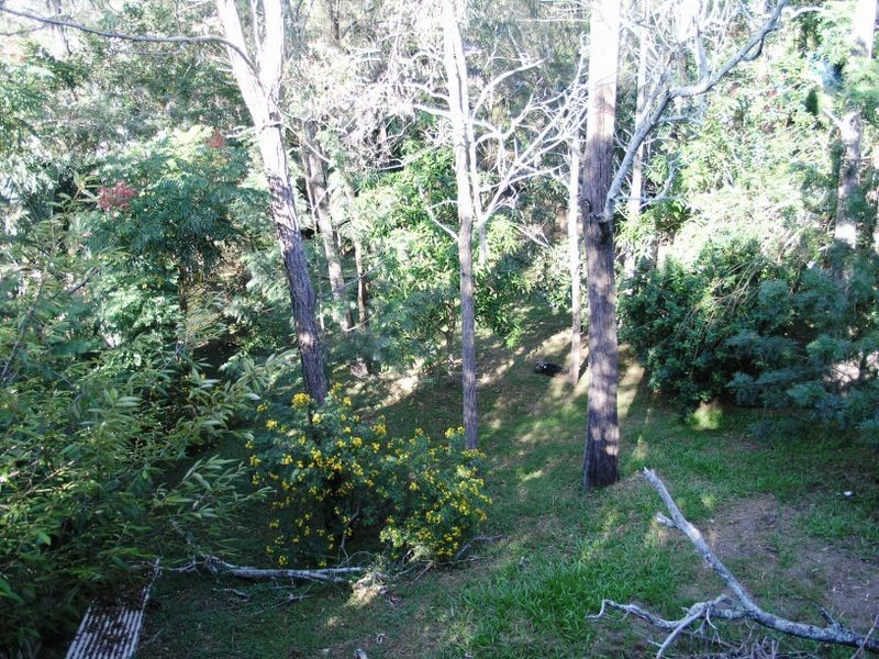 12 Larentia Street, Currumbin Waters QLD 4223