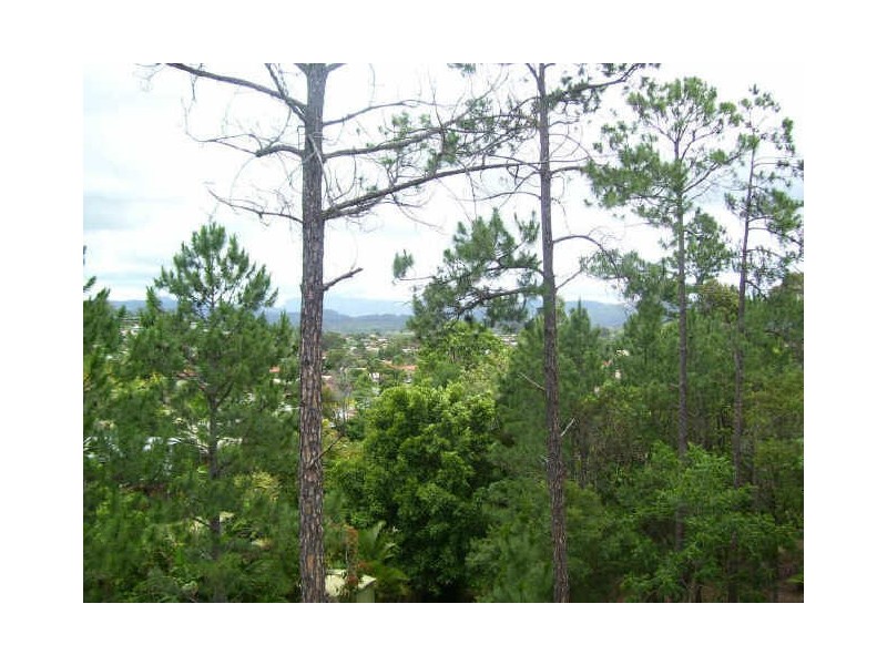 4               Corrigin Court, Elanora QLD 4221