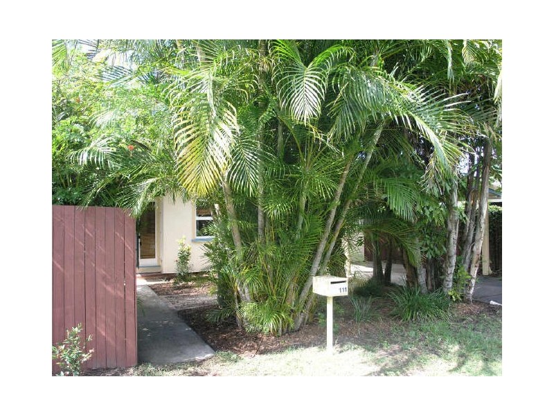 111 Leyte Avenue, Palm Beach QLD 4221
